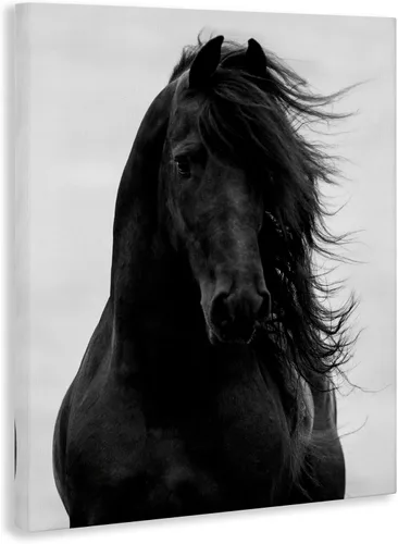 Vista 2 de Retrato de caballo semental negro' Arte en lienzo