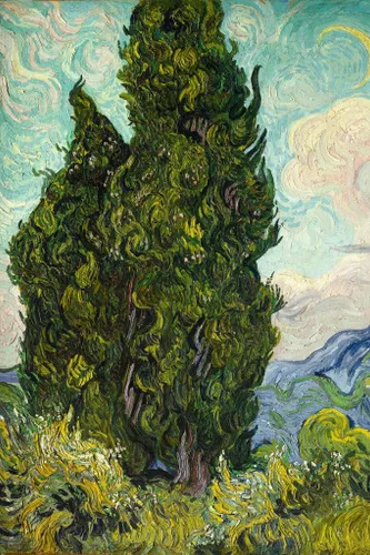 Vista 55 de Póster de “La noche estrellada” (1889) de Vincent Van Gogh, 18 x 12 pulgadas Ramas de flor de almendro 9897
