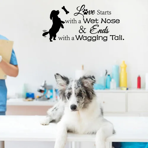 Vista 5 de Vinilo decorativo para pared, diseño de amor, comienza con una nariz mojada y termina con una cola meneante, lindo apartamento de perrito
