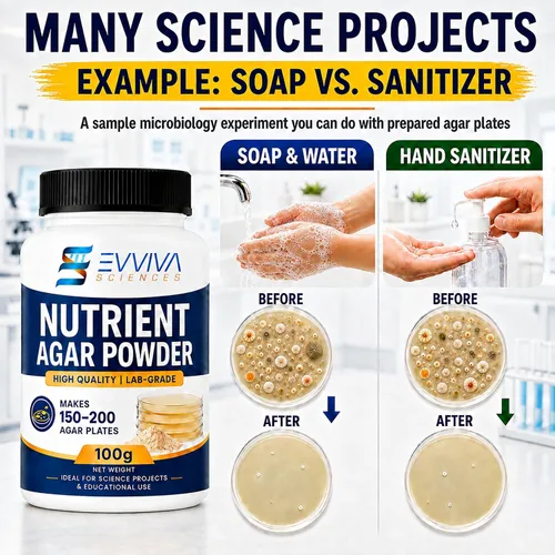 Vista 6 de Polvo de agar nutritivo de 3.53 oz – Evviva Sciences – Hace más de 150 a 200 platos de agar Petri – Fácil de usar – Grandes proyectos de feria