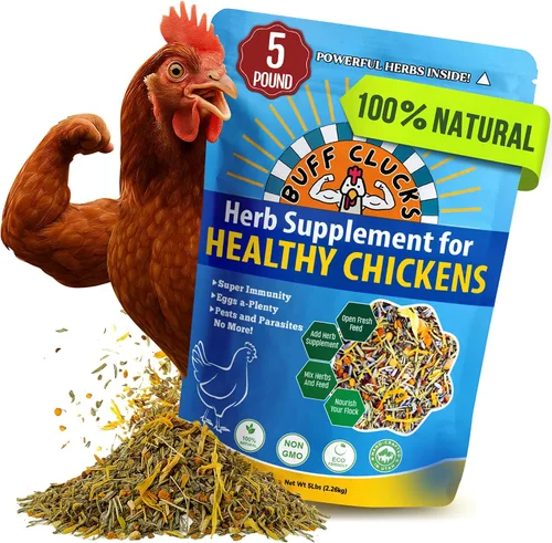 Vista 8 de Buff Clucks Suplemento de hierbas de fórmula de pollo para pollitos bebé, mezcla botánica totalmente natural para el bienestar diario, calidad