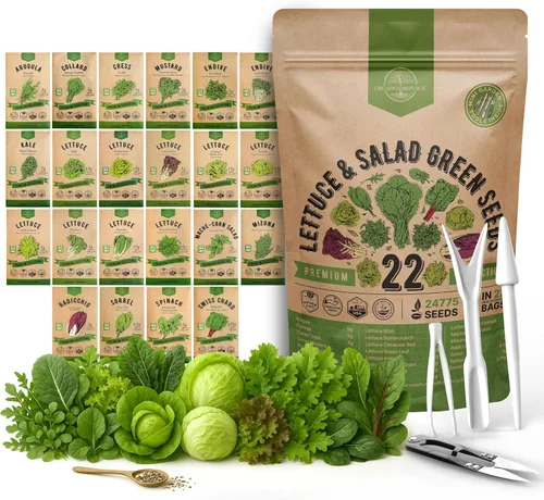 Vista 8 de Organo Republic Paquete de Variedad de 10 Semillas de Lechuga y Verduras para Ensalada 13000+ Semillas de Lechuga Reliquia Sin OMG para Plantar