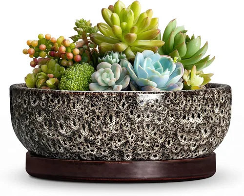 Vista 41 de Succulent Pots, 6 Inch Ceramic Bonsai Pots with Saucer, Blue