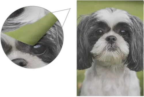 Vista 3 de Hokkien Hermosa bandera de jardín de perro Shih Tzu de doble cara de 12 x 18 pulgadas, banderas decorativas de jardín pequeñas, decoración de césped