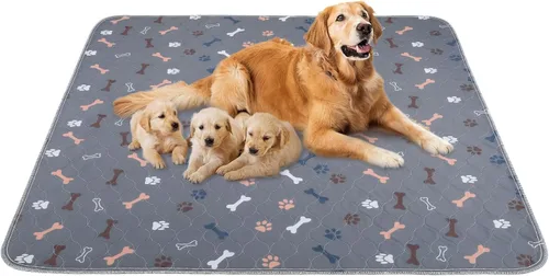 Vista 7 de Almohadillas lavables para orina para perros, paquete de 2 almohadillas reutilizables para cachorros, almohadillas de orina de perro de rápida