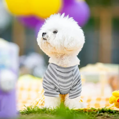 Vista 6 de Ropa de perro de EastCities para perros pequeños y cachorros (conjunto de pijama), s, gris
