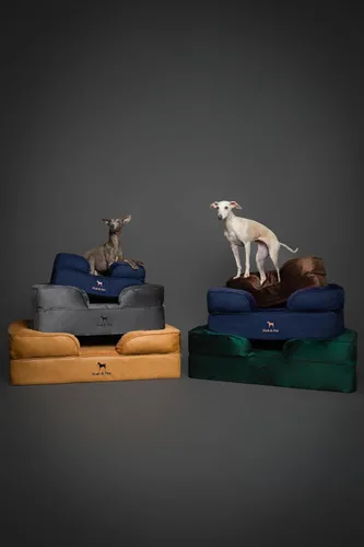 Vista 9 de NOAH & PAW Cama para perros pequeños, 20 x 15 x 8 pulgadas, cama para gatos de interior, espuma viscoelástica ortopédica de cáscara de huevo