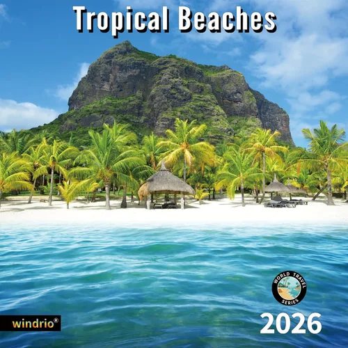 Vista 11 de Calendario de pared 2026, calendario 2026, julio de 2025 a diciembre de 2026, calendario de pared Aurora, 12 x 24 pulgadas abierto, página completa