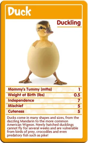 Vista 2 de Juego de cartas Baby Animals Top Trumps