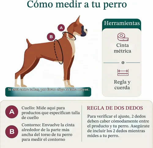 Vista 3 de Sporn Arnés para perro extra pequeño sin tirones, fácil y ajustable para cachorros en crecimiento, ligero, transpirable, nailon duradero, cuerpo
