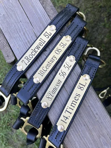 Vista 2 de Leaders - Cabestro de cuero para caballos con placa de nombre grabada personalizada, cabestro para caballo, negro/latón