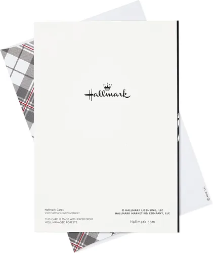 Vista 7 de Hallmark - Tarjetas de Navidad en caja, Alegría al mundo (16 tarjetas y sobres)