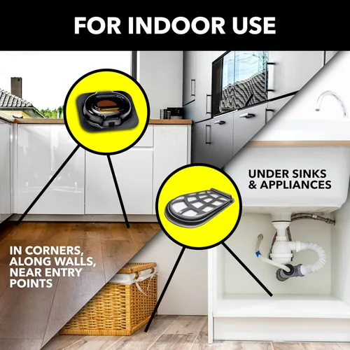 Vista 4 de Raid Cebos pequeños para cucarachas de doble control, además de tapones para huevos, resistentes a los niños, para uso en interiores, matan