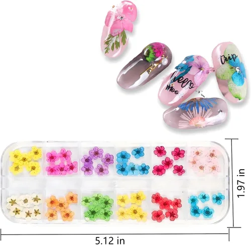Vista 6 de 60 piezas de accesorios de resina de flores secas en 3D, mini naturales para suministros de arte de uñas, accesorios mixtos de flores estrelladas