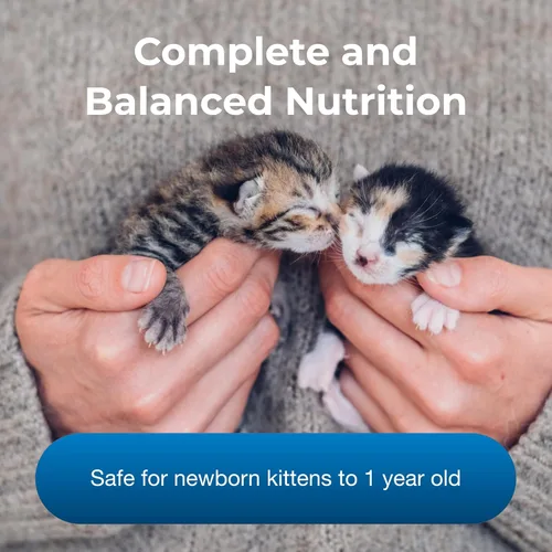 Vista 3 de Pet-Ag PetLac Polvo para gatitos – 10.5 onzas, paquete de 4 – Polvo de reemplazo de leche para gatitos recién nacidos a seis semanas de edad – fácil