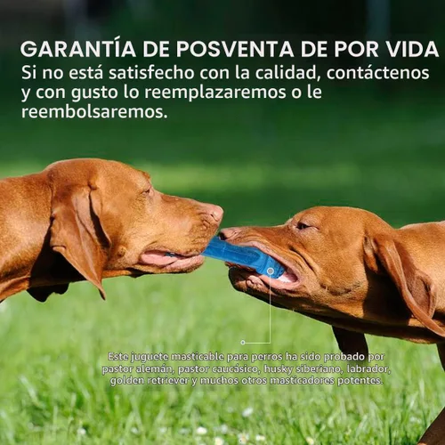 Vista 6 de Juguete de dentición congelable para cachorros, 1 anillo de dentición + 1 hueso de dentición congelable para perros juguetes masticables (azul)