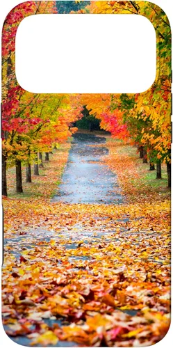 Vista 21 de iPhone 11 Otoño Hojas - Hermoso estuche de arboles