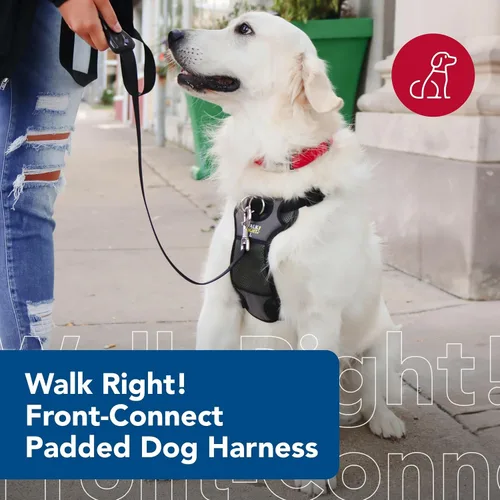 Vista 3 de Coastal Pet Walk Right - Arnés acolchado para perro con conexión frontal y sin tirones, ajustable y cómodo, ajuste para razas pequeñas y grandes