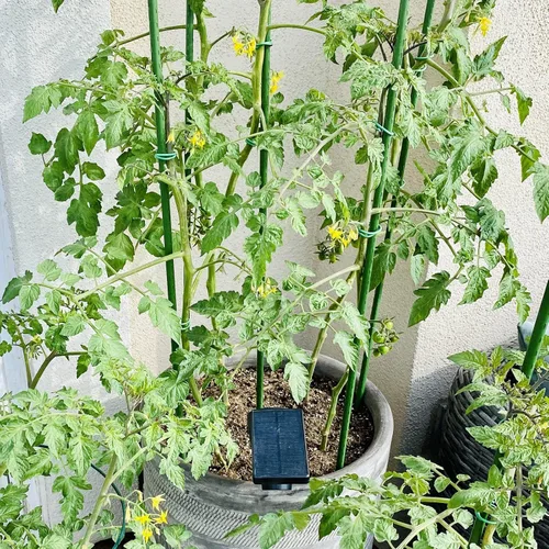 Vista 2 de Estacas de Jardín Garmeinea de 24 Pulgadas de Acero Recubierto de Plástico para Plantas Trepadoras en Crecimiento, Juego de 25