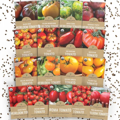 Vista 9 de Paquete variado de semillas de tomate orgánico – 5 paquetes individuales – Temporada 2026 – Roma, Brandywine rosa, cereza Sweetie, Krim negro