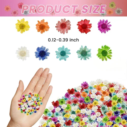 Vista 3 de 800 mini flores secas para resina, incluyen pinzas, pequeñas flores pequeñas
