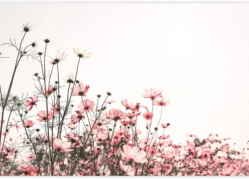 Vista 2 de wall26 Adhesivo mural removible para pared, diseño escénico de flores silvestres rosa, campo de jardín, naturaleza, fotografía, realismo