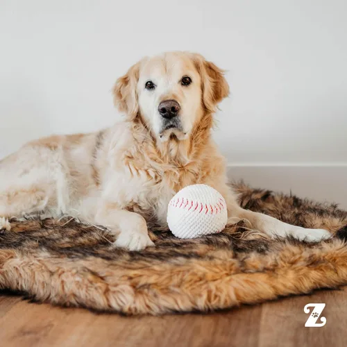 Vista 6 de ZippyPaws SportsBallz - Juguetes chirriantes para perros para mantenerlos ocupados, divertido peluche para perros pequeños, medianos y grandes