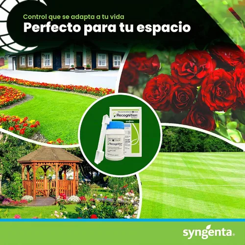 Vista 7 de Herbicida posemergente de reconocimiento. (1.95 oz) Asesino de malezas de gránulos dispersables en agua - Control de malezas posterior a