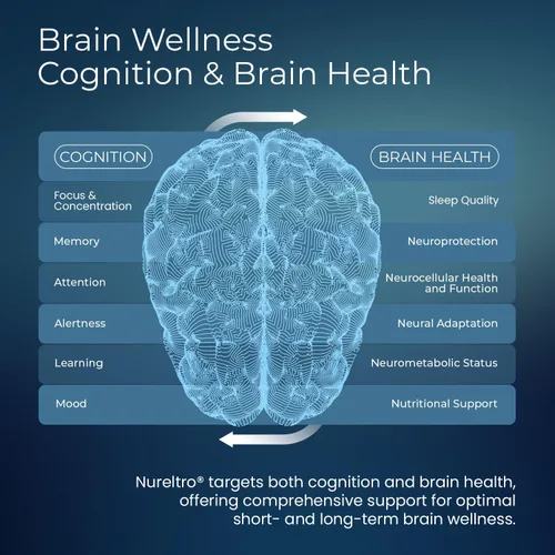 Vista 4 de Suplemento cerebral nootrópico todo en uno para adultos y personas mayores con Shoden® Ashwagandha Apoya la memoria, la concentración, el estado