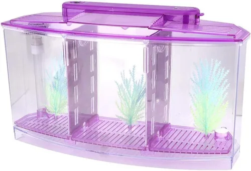 Vista 4 de Acuario pequeño de acrílico de tres áreas, mini pecera, para Betta para peces pequeños (morado)
