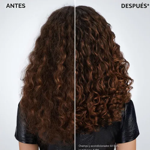 Vista 2 de Redken Tratamiento de aceite de Argan 6 para cabello seco – Acondiciona profundamente el cabello, añade suavidad y brillo con aceite de argán