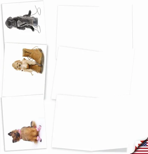 Vista 2 de The Best Card Company - 10 tarjetas de perro en blanco surtidas (4 x 5.12 pulgadas) - Adorables tarjetas de notas de animales en caja para todas