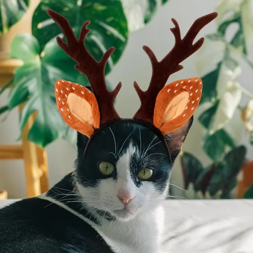 Vista 7 de Hemobllo Diadema de Navidad para perro, cuernos de reno y gato, clásico, ajustable, sombrero de alce para gatos y gatitos, cómoda diadema de cuernos