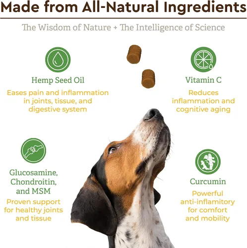 Vista 7 de IPL Ultimate Suplemento para cadera y articulaciones para perros Alivia el dolor, revitaliza el cartílago y desarrolla la salud muscular