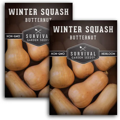 Vista 10 de Semillas de calabaza Butternut para plantar, semillas de vegetales sin OMG, alto rendimiento y cultivo fácil de cultivar para almacenamiento