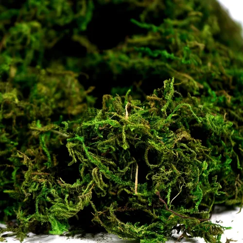 Vista 3 de Hierba artificial de musgo verde falsa para centros de mesa, decoración del hogar, la cocina y el jardín (3.5OZ, fresca)