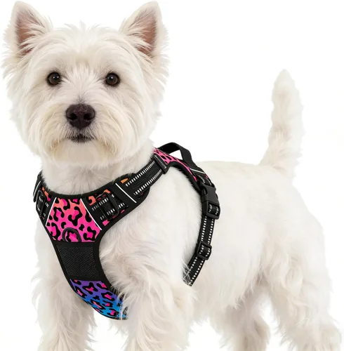 Vista 8 de Rnivvi Arnés para perro sin tirones, bonito arnés reflectante de tamaño extra pequeño, chaleco acolchado suave ajustable para perros pequeños