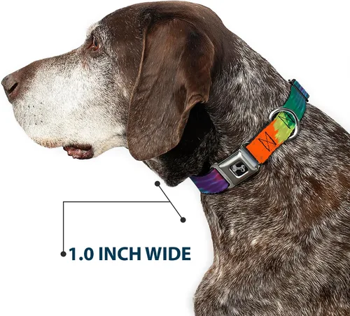Vista 6 de Buckle-Down Collar de perro hebilla cinturón hebilla abajo Tie Dye 9 a 15 pulgadas 1.0 pulgadas ancho