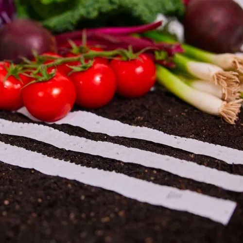 Vista 2 de Park Seed Sembrar Effortless Collection Cinta de semillas – col rizada mágica negra, 15 pies – fácil de plantar tú mismo, col rizada gourmet