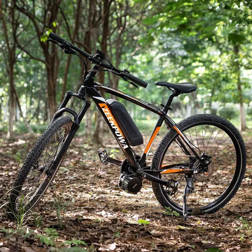 Vista 7 de Kit de conversión para bicicleta eléctrica Bafang con motor medio BBS-HD 48 V 1000 W, accesorios para motor, pantalla opcional, kit para tubo 36V