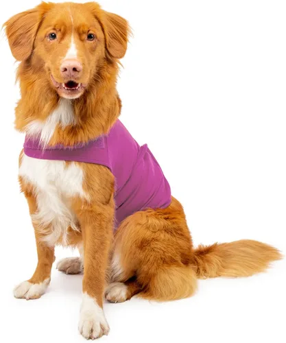 Vista 4 de Camisa Mellow Shirt para calmar la ansiedad de perros, Cypress