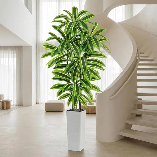 Vista 10 de Árbol de Dracaena artificial rojo de 6 pies, plantas falsas altas Hoja blanco-roja