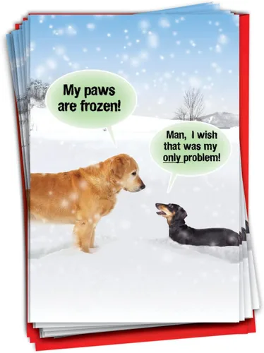 Vista 8 de NobleWorks Paquete a granel de 36 tarjetas de felicitación divertidas de Navidad con sobres, tarjetas divertidas en caja para perros y mujeres