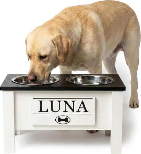 Vista 28 de GTW Soporte de Cuenco Elevado Personalizado para Perros Grandes, Medianos, Pequeños y Extra Pequeños - Cuencos de Acero Inoxidable para Comida