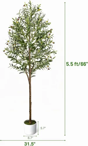 Vista 2 de Árbol de olivo artificial de 5.5 pies de planta decorativa