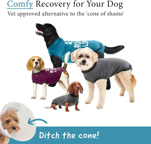 Vista 2 de Traje de Recuperación Quirúrgica BellyGuard para Perros, Mameluco para Perros para Cuidado Post-Operatorio, Ropa de Recuperación para Perros Hembra