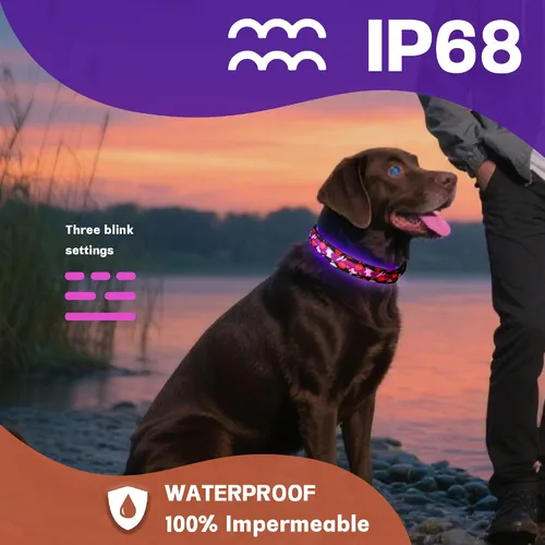 Vista 3 de DOGWONG Collar de perro con luz LED para Halloween, recargable e impermeable, collares de perro iluminados para otoño para caminar por la noche