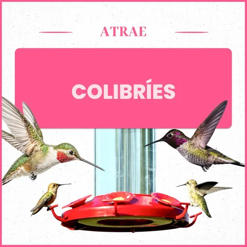 Vista 4 de Pennington Electronectar - Néctar de colibrí listo para usar de 64 oz With electrolytes, no added color, naturally clear, humming bird nectar, for