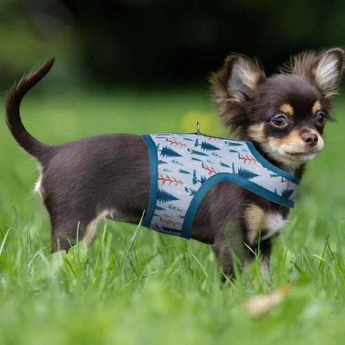 Vista 7 de Mile High Life Arnés para perro, chaleco floral de malla de aire para perros y gatos pequeños de 20 libras, fácil de poner, cierre fácil ajustable
