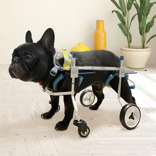 Vista 7 de Silla de ruedas ajustable para perros con cuatro ruedas, remolque de bicicleta de movilidad ligera para mascotas discapacitadas, fácil de montar